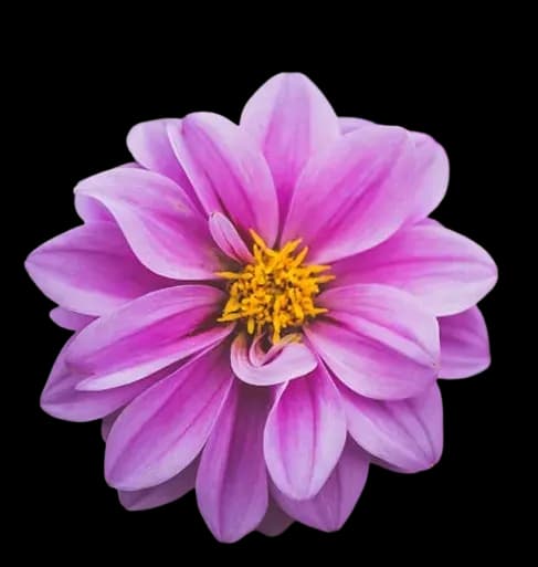 Animated objects showcasing company concepts